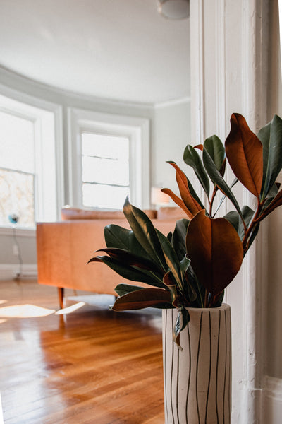 The Future of Cleaning: Are AI Tools Worth the Investment in 2025?